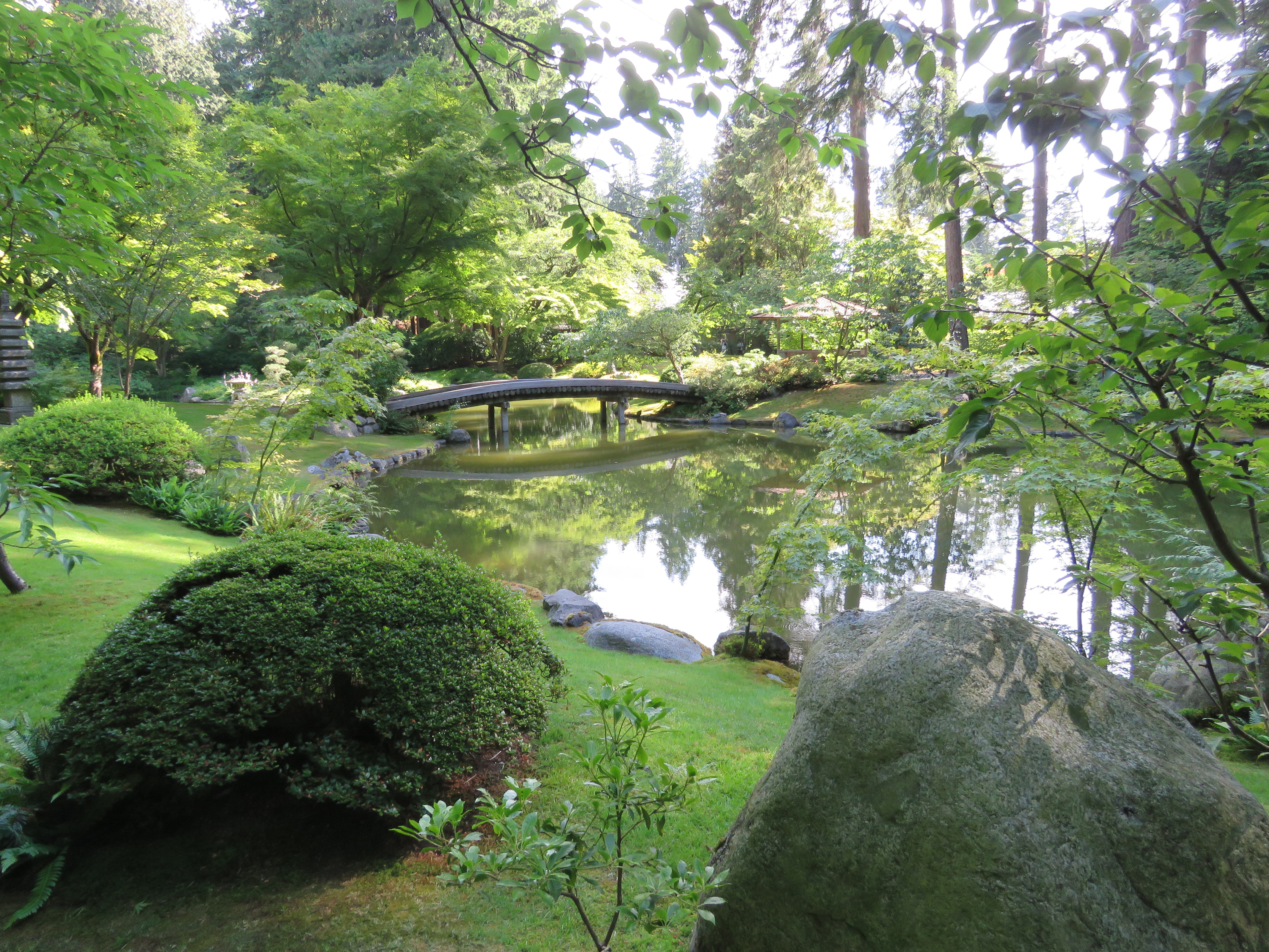 A Japanese garden.